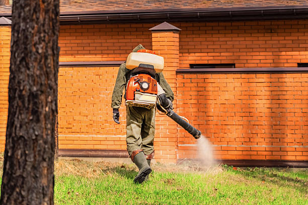 Trusted Mosquito Control service in Isle of Hope, GA - Nex Pest Control